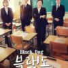 Korean Drama DVD Black Dog (2019) English Subtitle Free Shipping