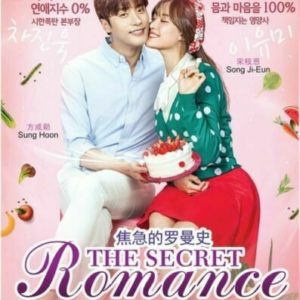 Korean Drama DVD My Secret Romance (2017) English Subtitle