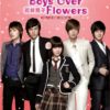 Korean Drama DVD Boys Over Flowers Vol.1-25 End + Special (2009) English Sub