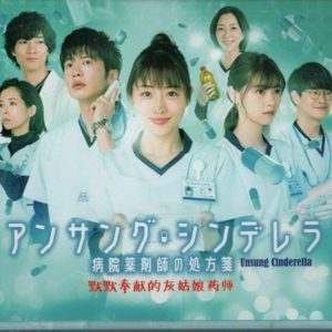 Japanese Drama DVD Unsung Cinderella (2020) English Subtitle