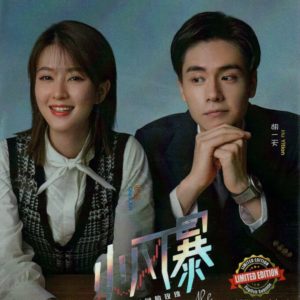 Chinese Drama HD DVD You Complete Me (2020) English Subtitle