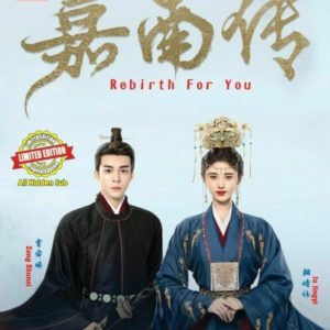 Chinese Drama DVD Rebirth For You (Vol.1 - 40 End) Complete Series