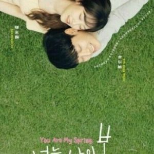 Korean Drama DVD You Are My Spring Episode 1-16 END Complete Series