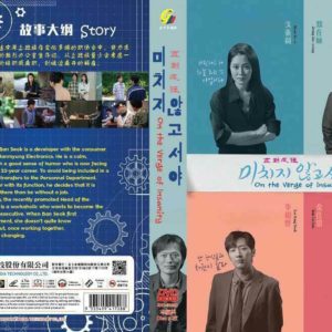 Korean Drama DVD On the Verge of Insanity (Ep 1-16 End) Complete Series Box Set