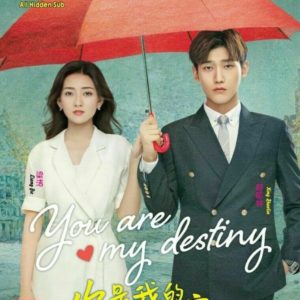 Chinese Drama DVD You Are My Destiny (VOL.1 - 36 End) Complete Series ENG SUB
