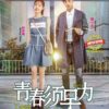Chinese Drama Youth Should be Early 青春須早為 (Ep 1-47 End) Complete Series Box Set