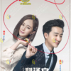 Chinese Drama DVD Les Interprètes 亲爱的翻译官 Eps 1-42 END Complete Series Box Set