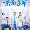 Chinese Drama DVD: Beloved Life 亲爱的生命 Eps 1-36 END English Subtitle