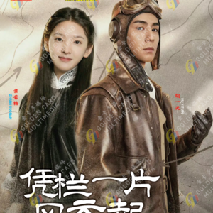 Chinese Drama DVD: Defying the Storm 凭栏一片风云起 Eps 1-40 END English Subtitle