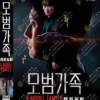 Korean Drama DVD: A Model Family Eps 1-10 END Complete ENGLISH DUB Box Set