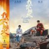 Chinese Drama Fireworks Of My Heart Vol.1-40 End Complete Series