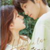 Chinese Drama DVD Hidden Love 偷偷藏不住 Eps 1-25 END Complete Series Box Set