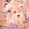 Chinese Drama DVD Legally Romance Eps 1-33 END Complete English Sub