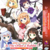 IS THE ORDER A RABBIT? SEASON 1-3 VOL.1-36 END+MOVIE DVD ANIME ENGLISH SUBTITLE
