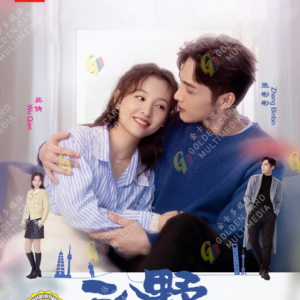 Chinese Drama DVD: Here We Meet Again 三分野 Eps 1-32 End English Subtitle Box Set