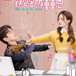 Chinese Drama DVD Hello, I'm at Your Service Eps 1-24 END English Subtitle