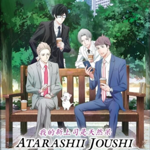 Anime DVD Atarashii Joushi wa Do Tennen Vol.1-12 End Complete Series Box Set