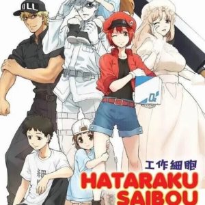 Anime DVD Hataraku Saibou Season 1+2 + Black (Vol.1-34 End) + Movie +OVA ENGLISH