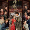 Chinese Drama DVD: Choice Husband 择君记 (1-30 End) English Subtitle Box Set
