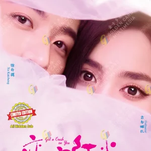 Chinese Drama DVD: Got a Crush on You 恋恋红尘 Eps 1-26 End English Subtitle Box Set