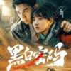 Chinese Drama DVD Chase the Truth 黑白密码 Eps 1-24 End Complete Series Box Set