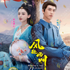 Chinese Drama DVD Weaving a Tale of Love Season 2 风起西州 Eps 1-37 End Box Set