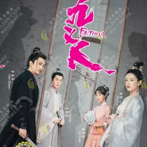 Chinese Drama DVD: Faithful 九义人 Eps 1-25 End English Subtitle Box Set
