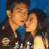 Chinese Drama DVD: Will Love in Spring 春色寄情人 Eps 1-21 END English Subtitle Box Set