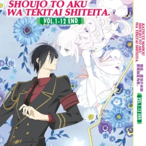 Anime DVD Katsute Mahou Shoujo To Aku Wa Tekitai Shiteita. (1-12 End) Complete Series Box Set