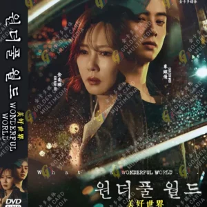 Korean Drama DVD: Wonderful World (1-14End) English Subtitle Box Set