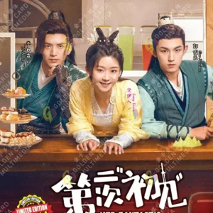 Chinese Drama DVD Her Fantastic Adventures 第二次'初见' (1-36 End) Complete Box Set