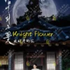 Korean Drama DVD Knight Flower Eps 1-12 End Complete Series Box Set