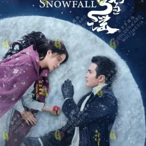 Chinese Drama DVD Snowfall 冰雪谣 (1-24 End) Complete Series Box Set