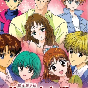 Anime DVD Marmalade Boy TV Series Vol.1-76End + Movie + Live Action Movie