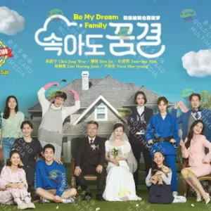 Korean Drama DVD Be My Dream Family Vol.1-120 End English Subtitle Box Set