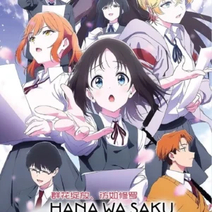 Anime DVD Hana Wa Saku, Shura No Gotoku (1-12 End) English Subtitle Box Set