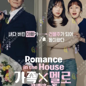 Korean Drama DVD Romance in the House Episode 1-12 END Complete Series Box Set