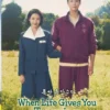 Korean Drama DVD When Life Gives You Tangerines (1-16 End) English Subtitle Box Set
