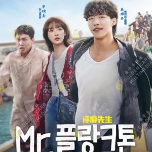 Korean Drama DVD Mr. Plankton Episode 1-10 END Complete ENGLISH DUB Box Set