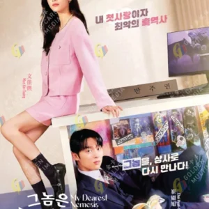 Korean Drama DVD: My Dearest Nemesis Episode 1-12 End English Subtitle Box Set