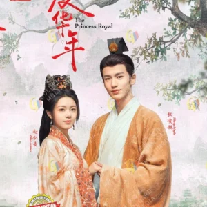 Chinese Drama DVD: The Princess Royal 度华年 Eps 1-40 END English Subtitle Box Set