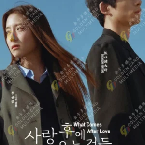 Korean Drama DVD: What Comes After Love Eps 1-8 End English Subtitle Box Set