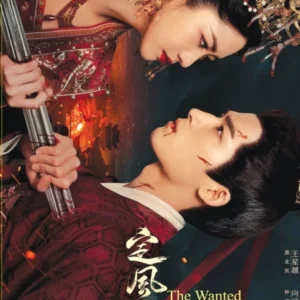 Chinese Drama DVD: THE WANTED DETECTIVE 定风波 Vol.1-36END English Subtitle Box Set
