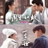 Chinese Drama DVD: ONE AND ONLY + FOREVER AND EVER 周生如故+一生一世 English Sub Box Set