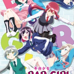 Anime DVD Bad Girl (1-12 End) Complete English Subtitle Box Set