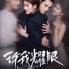 Chinese Drama DVD Love's Ambition 许我耀眼 Eps 1-32 End English Subtitle Box Set