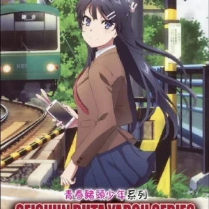 Anime DVD SEISHUN BUTA YAROU SERIES (Vol.1-26 End + 3 Movie) ENGLISH DUB Box Set