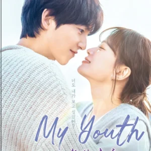 Korean Drama DVD: My Youth (Vol.1-12 End) Complete Series Box Set