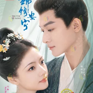 Chinese Drama The Rise of Ning 锦绣安宁 Eps 1-40 End English Subtitle Box Set