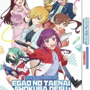 Anime DVD Egao No Taenai Shokuba Desu. (1-13 End) English Subtitle Box Set
